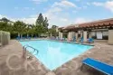 33776 Bayside Lane #241 thumbnail 27