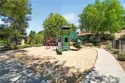 42124 Orange Blossom thumbnail 33
