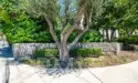 1821 Vista Del Oro thumbnail 43