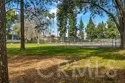 20119 Leadwell Street #3 thumbnail 50