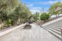 42761 Juniper thumbnail 4