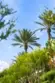 34126 Selva Road #299 thumbnail 66