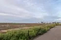 514 Surfbird Lane thumbnail 39