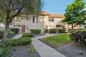 7809 Starling Drive thumbnail 5