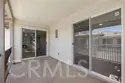 361 Summer thumbnail 22