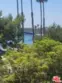 7239 Marina Pacifica Drive S thumbnail 17