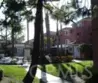 409 Utica #D43 thumbnail 5