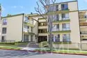 500 Evergreen #307 thumbnail 1