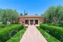 161 Working Ranch thumbnail 26