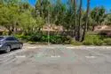 3321 Dehesa Road #95 thumbnail 43