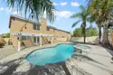 37334 Bunchberry thumbnail 54