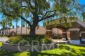 42145 Delmonte thumbnail 49