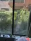 6815 Remmet Avenue #109 thumbnail 5