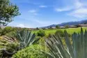 8879 Cuyamaca thumbnail 32