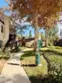 1466 Cabrillo Park #C thumbnail 16