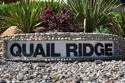 4216 Vista Panorama Way #276 thumbnail 22