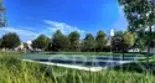 95 Canopy thumbnail 40