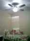 27959 Cactus #B thumbnail 15