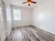 41534 King Palm thumbnail 20