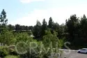 1 Via Abruzzi thumbnail 3