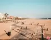 937 5th Street #8 thumbnail 18