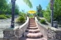 26784 Lemon Grass thumbnail 3