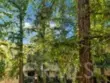 7800 Topanga Canyon Boulevard #216 thumbnail 38