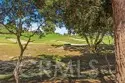 48 Paseo Verde thumbnail 32