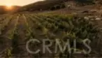 37565 Calle De Companero thumbnail 5