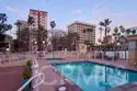 488 E Ocean #1607 thumbnail 19