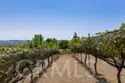 40190 Sierra De Ronda thumbnail 66