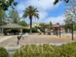 27139 Tube Rose Street thumbnail 63
