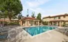 25261 Tanoak thumbnail 39