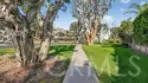 19282 Torreypines thumbnail 7