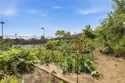 5705 Friars #22 thumbnail 6