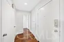25261 Tanoak thumbnail 7