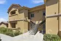 41410 Juniper thumbnail 2