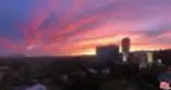 999 N Doheny Drive #1012 thumbnail 14