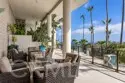 31423 Coast Highway #51 thumbnail 40