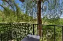1307 Shadow Lane #D thumbnail 33