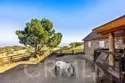 43780 Paseo Espinazo thumbnail 43