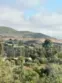 27086 Via Caminata thumbnail 3