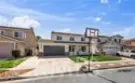 23831 Cloverleaf thumbnail 3
