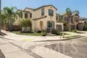 11525 Sparrow thumbnail 4