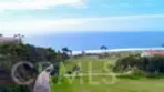 34115 Violet Lantern #1 thumbnail 42
