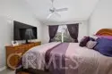 26946 Orchid thumbnail 10