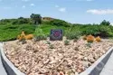27831 Paseo Del Sol thumbnail 50