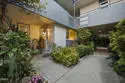 245 Aster Street #6 thumbnail 1