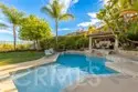 26843 Orchid Tree thumbnail 39