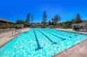 38648 Bears Paw Drive thumbnail 53